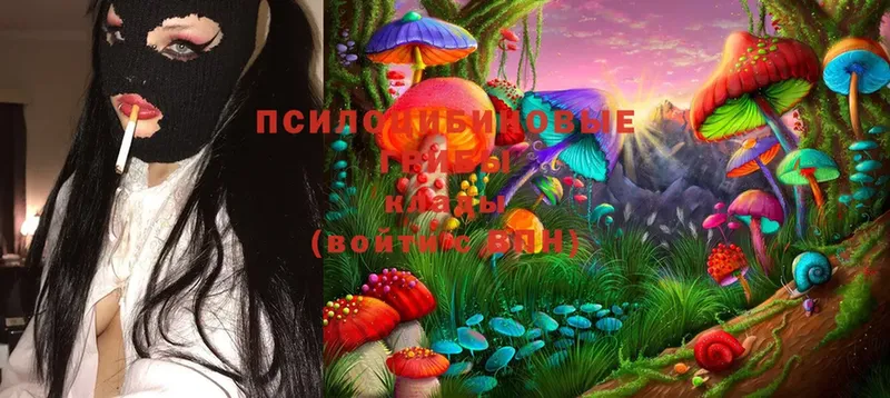 Галлюциногенные грибы Magic Shrooms  ссылка на мегу рабочий сайт  Ейск  где продают  